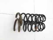 Peugeot Expert II 2 Kasten Beide Feder Federn Hinten