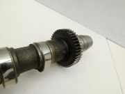 Audi Q7 4L 05-09 TDI 3,0 171KW BUG Nockenwelle Links Einlass 4-6