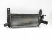 Nissan Nissan Pathfinder R51 05-10 dCi 2,5 126KW Ladeluftkühler Kühler