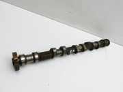 BMW E65 7er 01-05 4,4 245KW N62B44O0 N62B44ANockenwelle Rechts Auslass 1-4