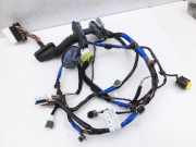 Hyundai IX55 09-11 Kabelbaum für Tür und Fensterheber Rechts Vorne