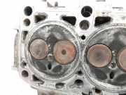 Audi A3 8P 04-08 TDI 2,0 103KW BMMZylinderkopf