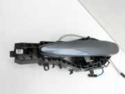 BMW F31 320d 11-15 Kombi Türgriff Griff aussen Links Hinten