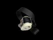 Ford Focus II CC 08-10 Cabriolet Gurt Sicherheitsgurt Rechts Hinten