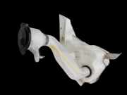 Toyota Prius + Plus W40 1,8 100KW Waschwasserbehälter Wasserbehälter Wischwasserbehälter