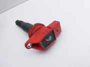 Porsche Cayenne 92A Turbo S 4,8 405KW Zündspule Zyl.6