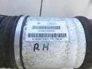 VW Phaeton 3D 01-07 Lang Stossdämpfer Luftfeder Luftfahrwerk Federbein Hinten Rechts