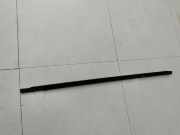 Opel Insignia B 17-21 Leiste für Tür Scheibendichtung Links Hinten