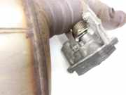 Audi A5 F5 16-19 TDI 2,0 140KW Katalysator Kat