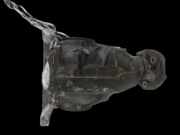 Mercedes S204 W204 C220 11-15 CDI 2,2 125KW Differential Hinterachsgetriebe Hinten 2,65