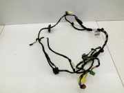 Mercedes X204 GLK 09-15 Kabelbaum T?r und Fensterheber Links Vorne