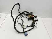 Opel Crossland X P17 17-20 Kabelbaum für Tür und Fensterheber Rechts Vorne