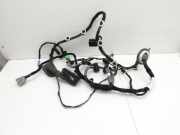 Jaguar XE X760 15-19 Lim Kabelbaum T?r und Fensterheber Vorne Links