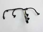 Discovery Sport L550 15-19 Kabelbaum für Motor Zündung 224DT DW12BTED4