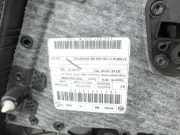 Skoda Octavia III 5E 12-17 Kombi Türverkleidung Türpappe Links Hinten