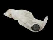 Dacia Dokker KE 12-21 1,6 75KW Waschwasserbehälter Wasserbehälter Wischwasserbehälter