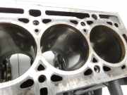 Renault Scenic III JZ 09-12 1,6 81KW K4M858 Motorblock für Motor