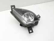 BMW E90 325i 09-13 Nebelscheinwerfer Rechts orig