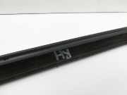 Mercedes E350 A207 10-13 Cabrio Leiste für Tür Scheibendichtung Rechts Hinten