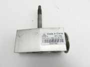 Opel Insignia A G09 08-13 Expansionsventil für Klima