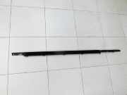 Hyundai Santa Fe IV TM 18-20 Leiste Scheibendichtung für Tür Links Vorne