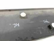 Peugeot Expert II 2 Kasten Türleiste Links Hinten Aussen