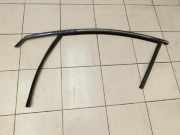 Ford Mondeo V 14-19 Leiste Scheibendichtung für Tür Links Vorne Oben Aussen