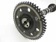 Hyundai IX55 09-11 CRDi 3,0 176KW D6EA UD14 Nockenwelle Hinten Einlass