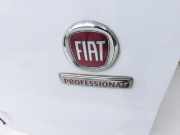 Fiat Talento 296 16-21 VAN Tür Flügeltür Hecktür Rechts Hinten