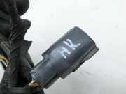 Volvo C70 II 542 05-09 Cabriolet Kabelbaum Leitungssatz für Tür und Fensterheber Hinten Rechts