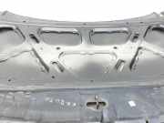 Hyundai IX55 09-11 Motorhaube Frontklappe Haube