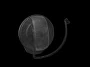 Skoda Kamiq NW4 19-23 Tankdeckel Verschluss Tankverschluss