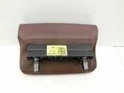 Hyundai Santa Fe IV TM 18-20 Leder Endstück für Mittelarmlehne Mitte Hinten