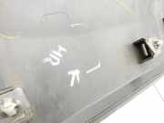 Ford EcoSport 12-22 Türleiste Rechts Hinten