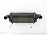 Mercedes W164 ML420 05-09 CDI 4,0 225KW Ladeluftkühler Kühler