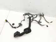 Renault Megane III 08-12 Coupe Kabelbaum Tür und Fensterheber Links Vorne