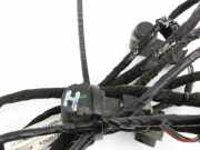 Audi A6 C7 4G 10-14 Kabelbaum mit PDC 4x Sensor Einparkhilfe Hinten