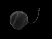 Opel Corsa D S07 06-10 Tankdeckel Verschluss Tankverschluss