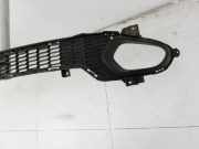 Kia Ceed JD 12-15Lufteinlassgitter f?r Sto?stange Sto?f?nger