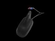 VW Passat 3C B7 10-15 Antenne Dachantenne Antennenfuß RNS