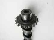 Ford S-Max WA6 06-10 TDCi 2,0 103KW C20DD0X Nockenwelle Einlass