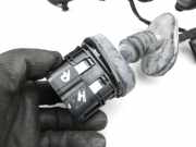 Ford EcoSport 12-22 Kabelbaum Leitungssatz für Tür und Fensterheber Hinten Rechts