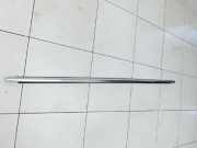 VW Passat 3G B8 14-19 Leiste Scheibendichtung für Tür Links Vorne