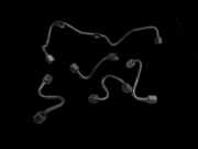 Mercedes S204 W204 C220 11-15 CDI 2,2 125KW Hochdruck Leitung Kraftstoffleitung