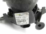 Dacia Duster II HM 18-21 Nebelscheinwerfer Links orig.