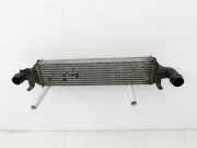 Mercedes W176 A180 12-15 CDI 1,5 80KW Ladeluftkühler Kühler