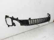 KIA Carens RP IV 13-19 Lufteinlassgitter f?r Sto?stange Sto?f?nger