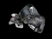 Ssangyong Rexton W RJ 12-17 Gurt Sicherheitsgurt Rechts Hinten 2.Reihe