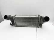 Ford Fiesta VII 17-21 EcoBoost 1.0 74KWLadeluftkühler Kühler