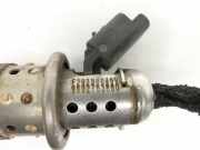 Citroen C4 Picasso II 13-16 HDI 1,6 88KW AdBlue Injektor Einspritzdüse